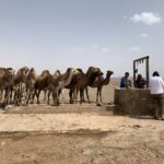 7-tägige Marokko Wüstentour von Marrakech zur Erg Chegaga