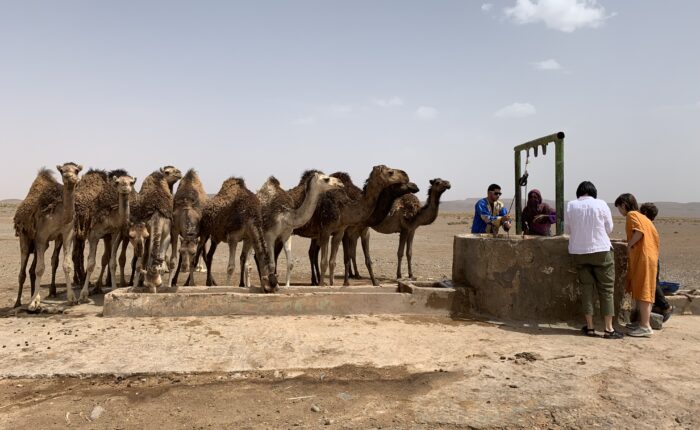7-tägige Marokko Wüstentour von Marrakech zur Erg Chegaga