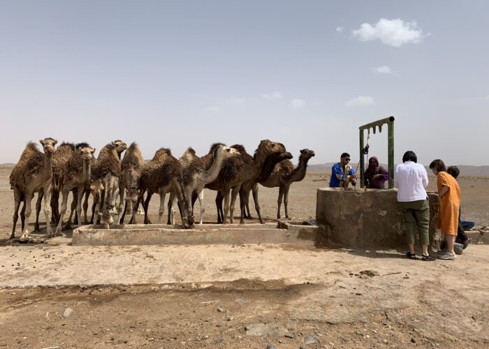 7-tägige Marokko Wüstentour von Marrakech zur Erg Chegaga