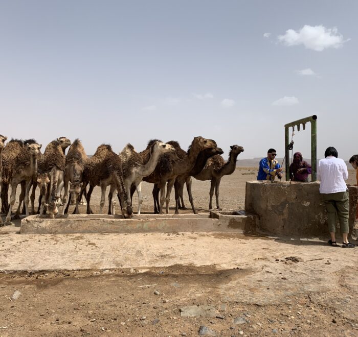 7-tägige Marokko Wüstentour von Marrakech zur Erg Chegaga